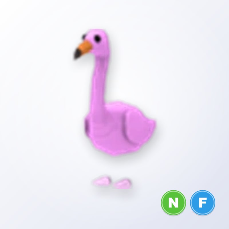 Flamingo NF | Adopt Me
