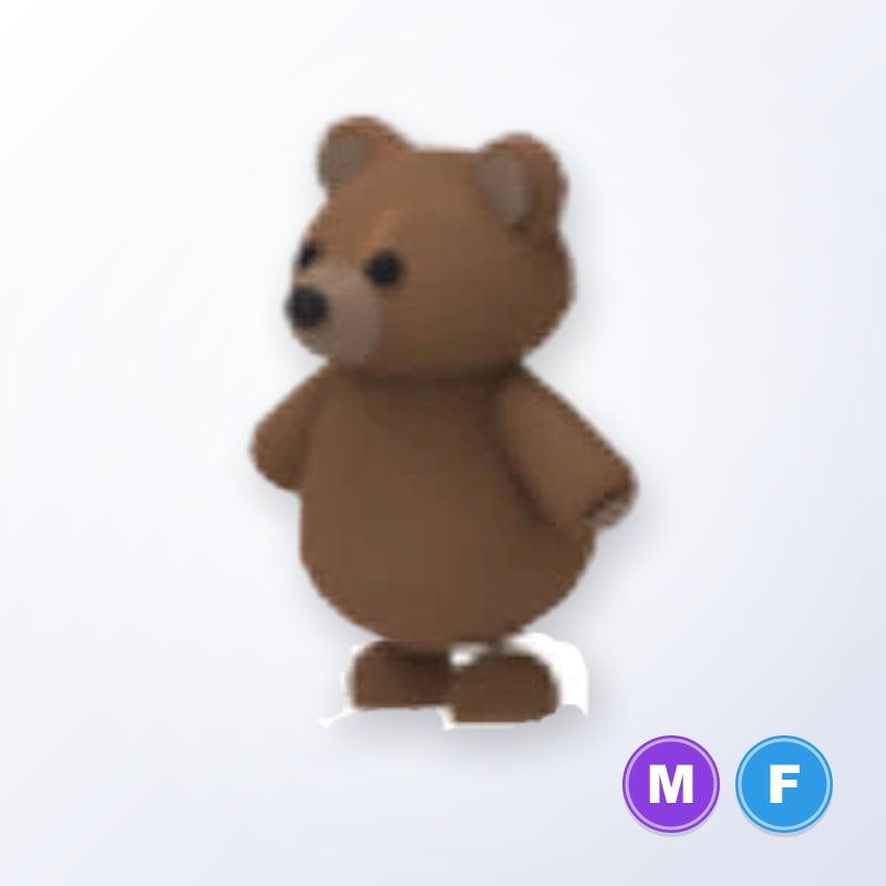 Brown Bear MF | Adopt Me