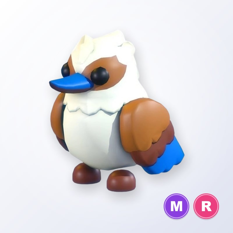 Kookaburra MR | Adopt Me