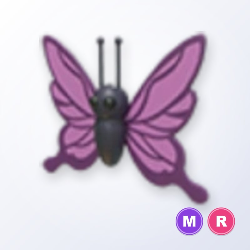 Purple Butterfly MR | Adopt Me