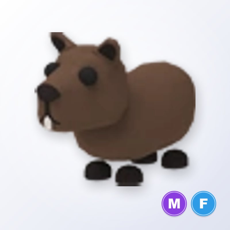 Capybara MF | Adopt Me