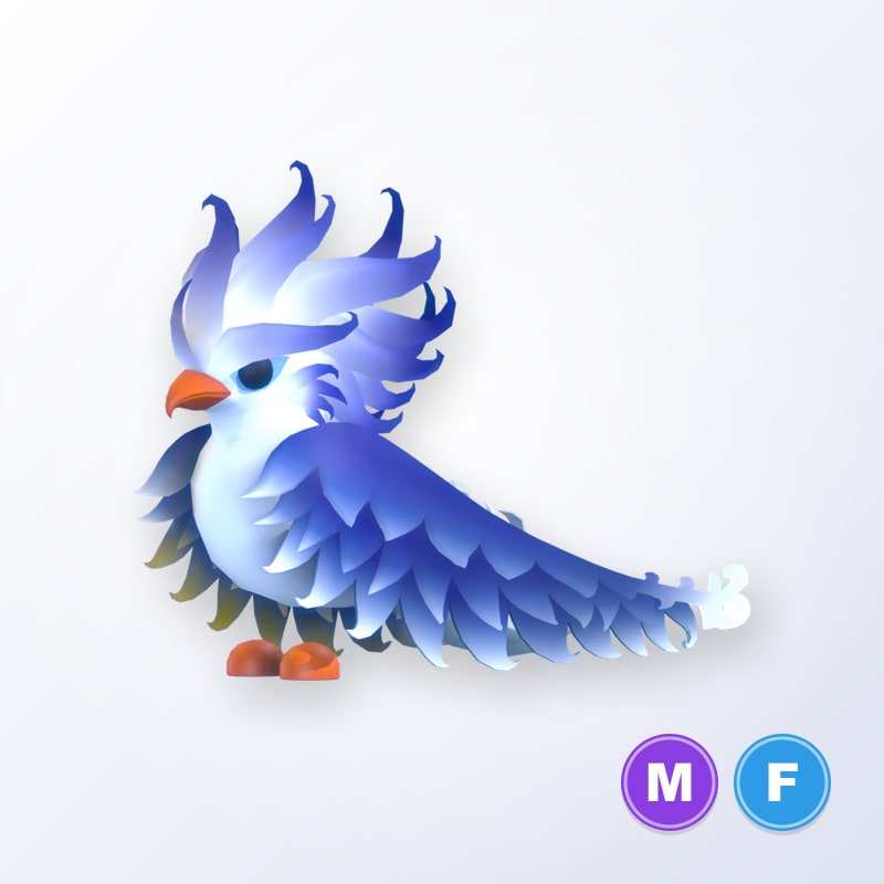 Frost Phoenix MF | Adopt Me