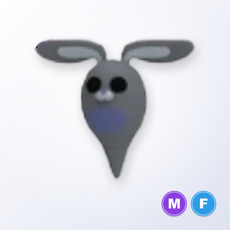 Ghost Bunny MF | Adopt Me
