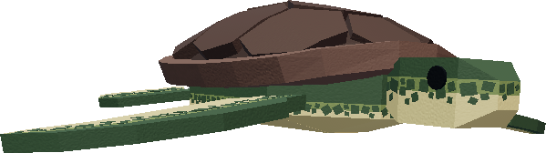 Sea turtle