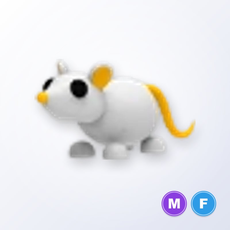 Golden Rat MF | Adopt Me