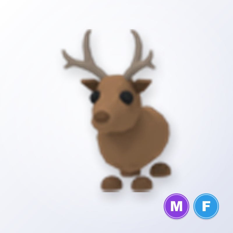 Reindeer MF | Adopt Me
