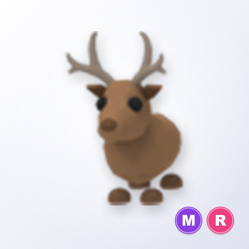Reindeer MR | Adopt Me