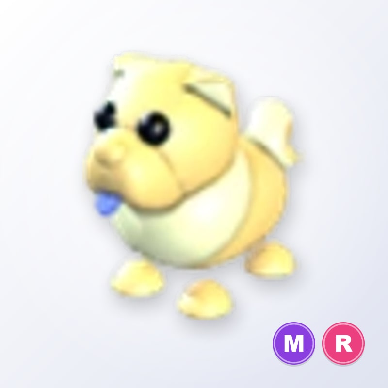 Golden Chow-Chow MR | Adopt Me
