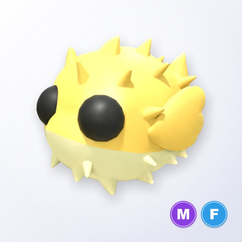 Puffer Fish MF | Adopt Me