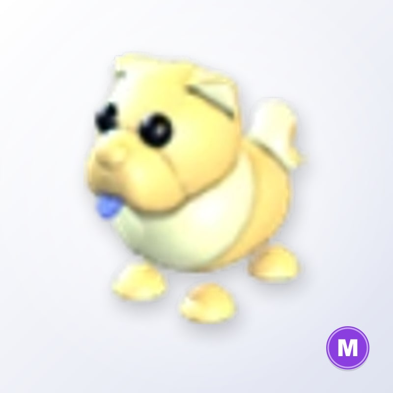 Golden Chow-Chow M | Adopt Me