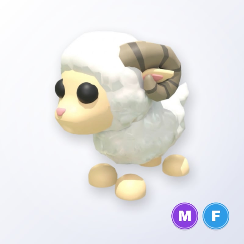 Ram MF | Adopt Me