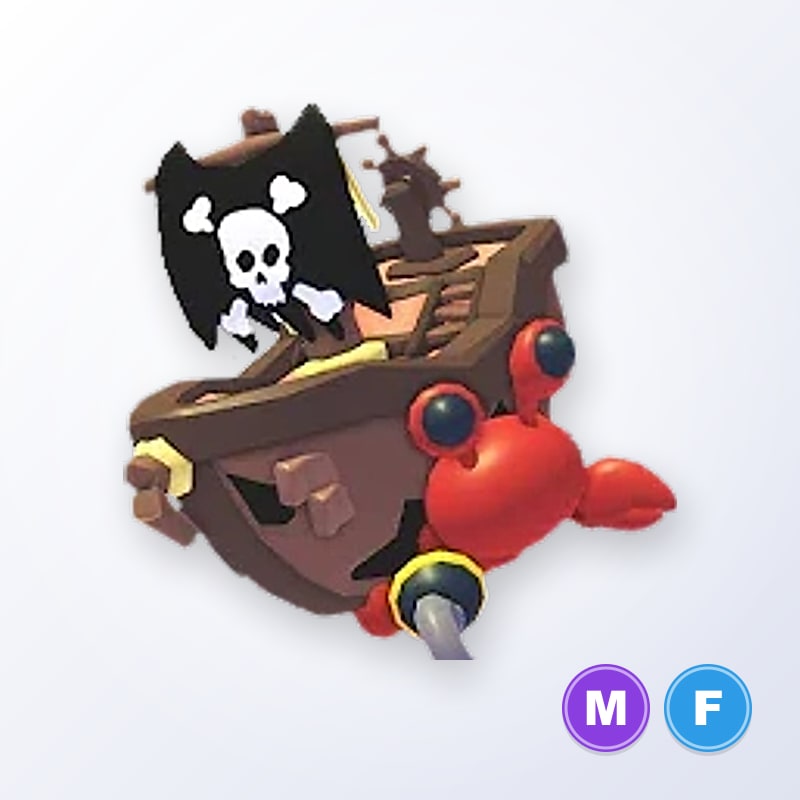 Pirate Hermit Crab MF | Adopt Me