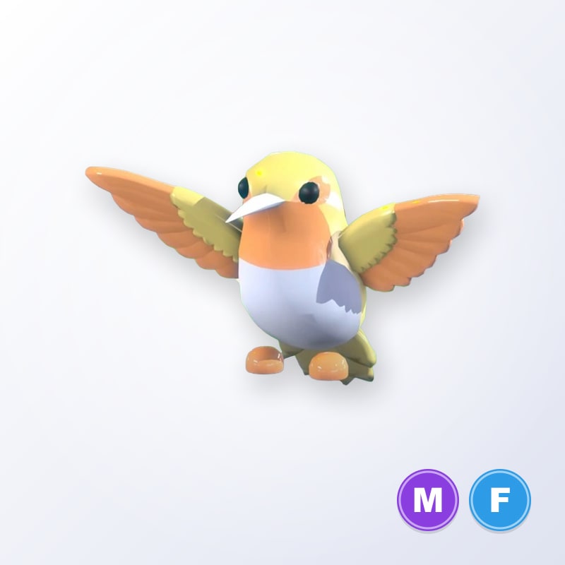 Golden Hummingbird MF | Adopt Me