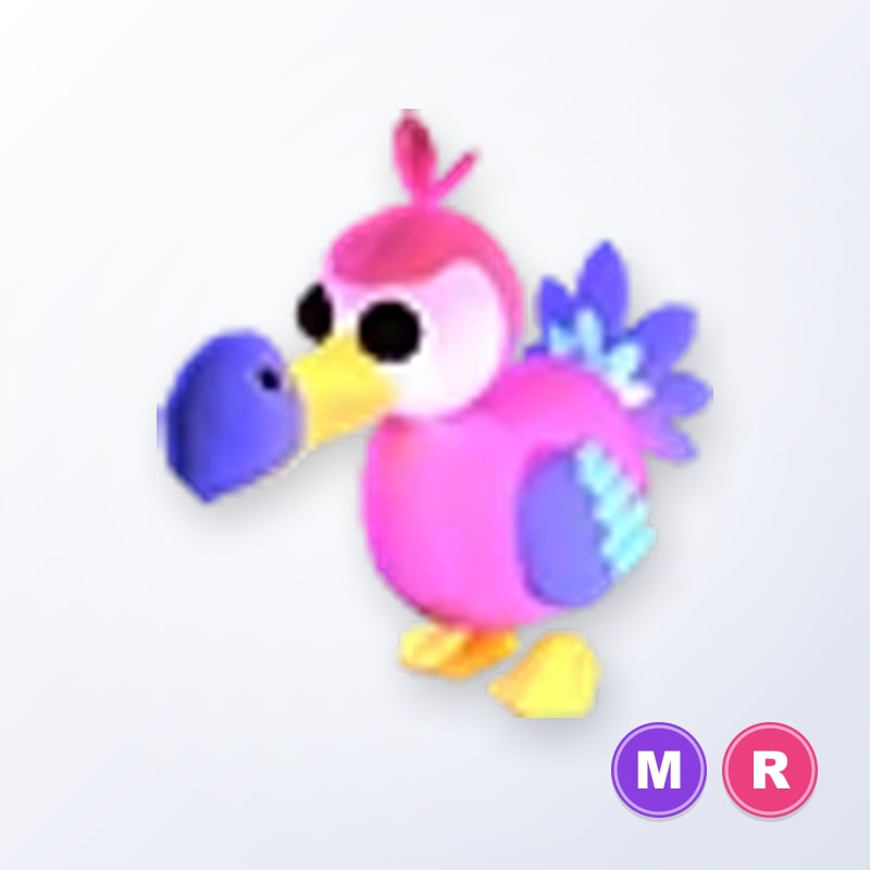 Dodo MR | Adopt Me