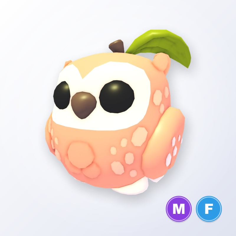 Peach Owl MF | Adopt Me