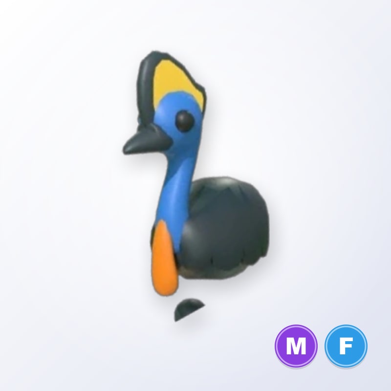 Cassowary MF | Adopt Me