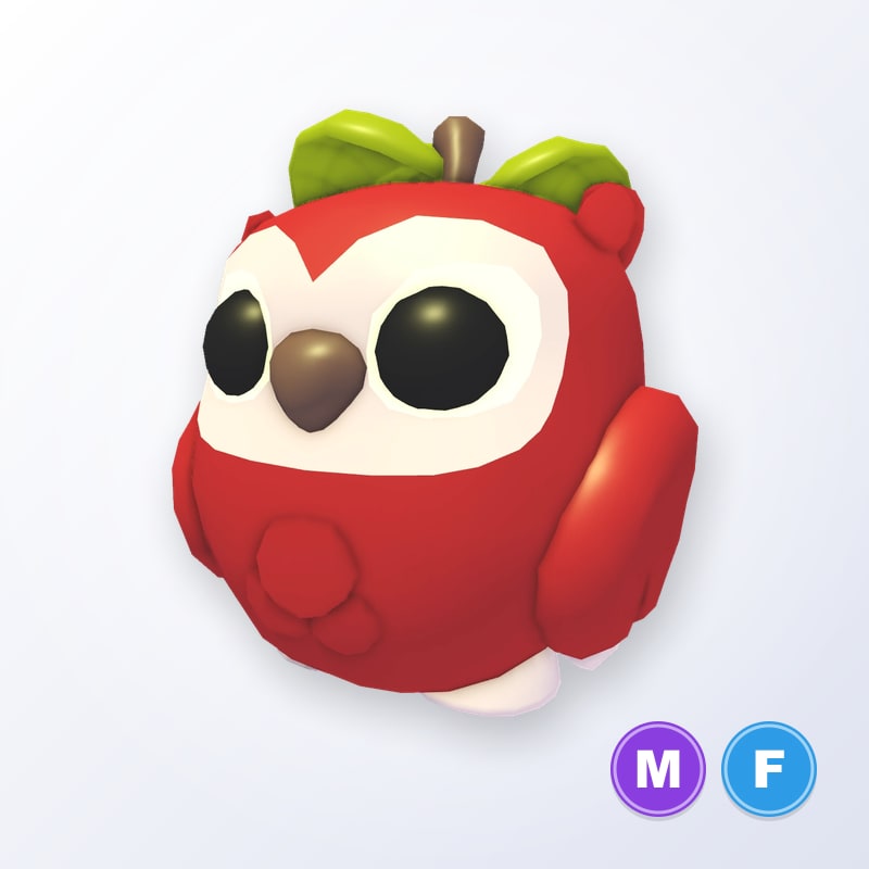 Apple Owl MF | Adopt Me