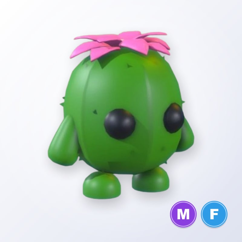 Cactus Friend MF | Adopt Me