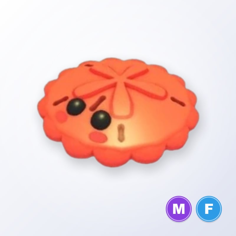 Red Sand Dollar MF | Adopt Me