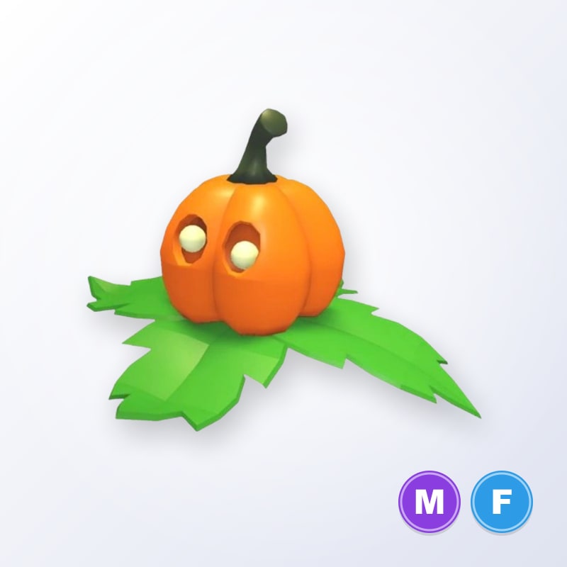 Pumpkin Friend MF | Adopt Me