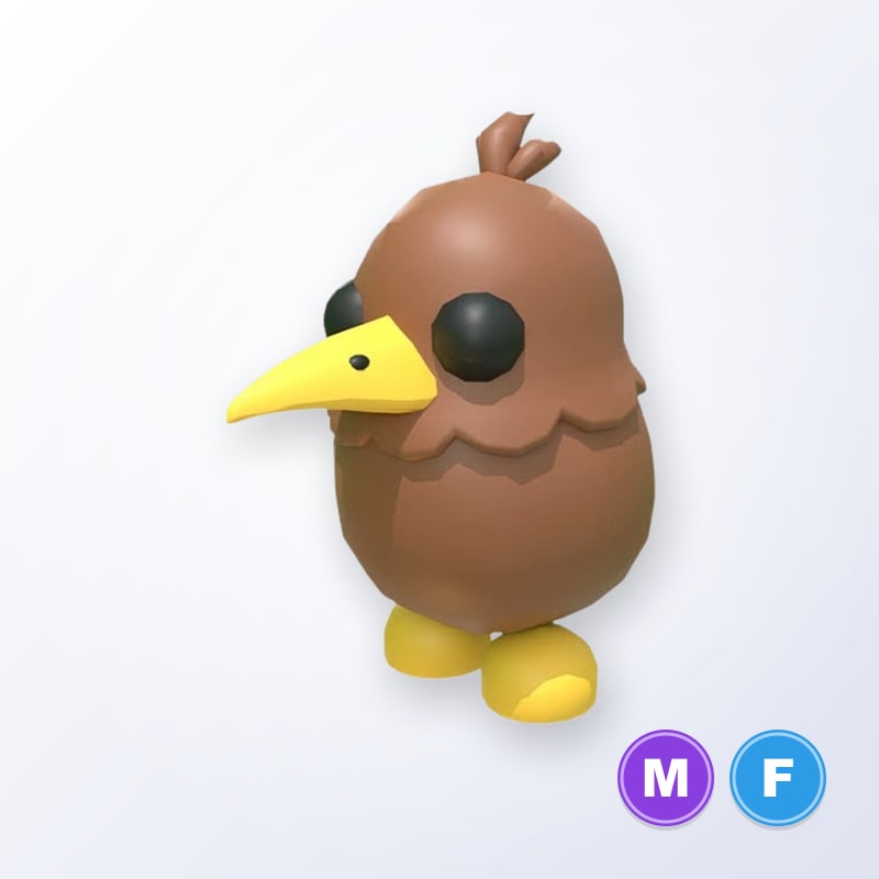 Kiwi MF | Adopt Me