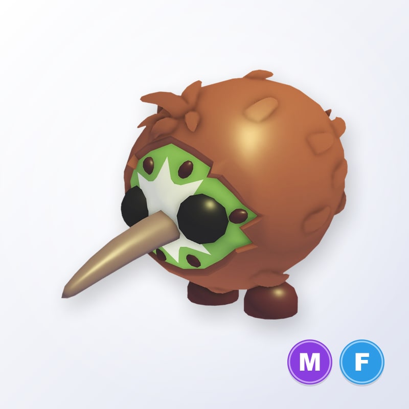 Kiwi Kiwi MF | Adopt Me