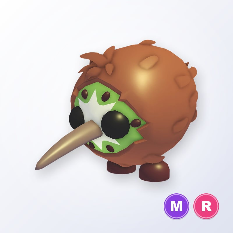 Kiwi Kiwi MR | Adopt Me
