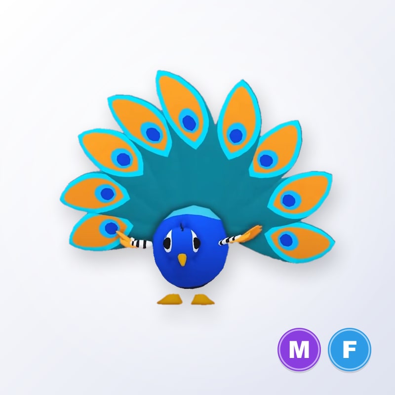 Peacock MF | Adopt Me