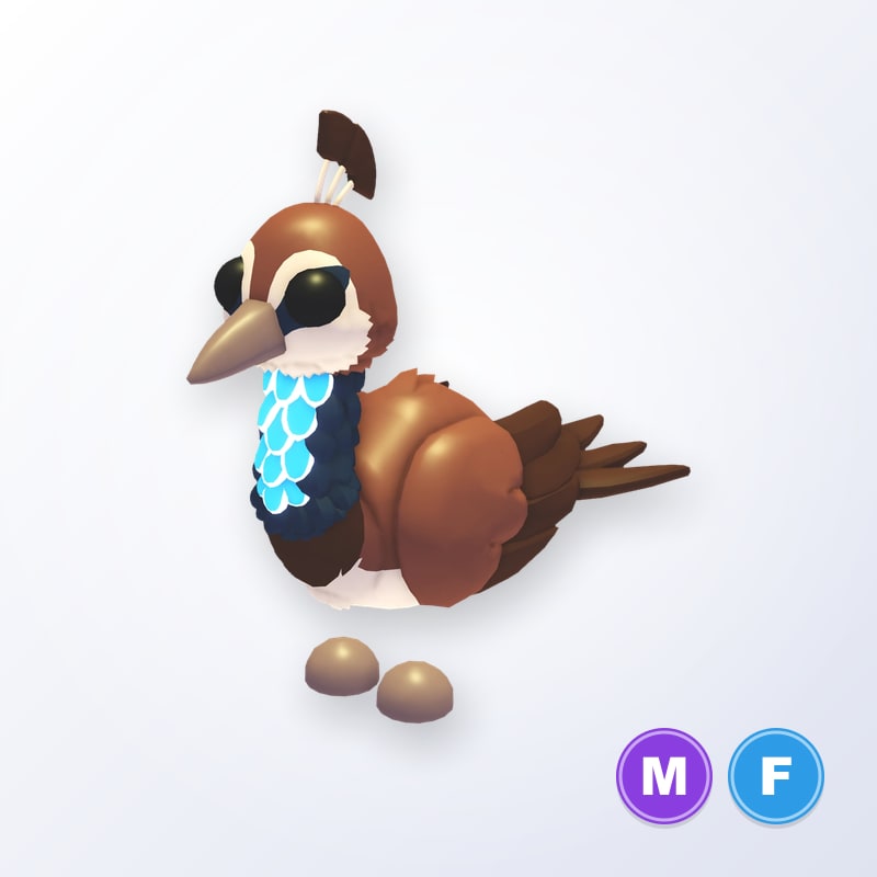 Peahen MF | Adopt Me