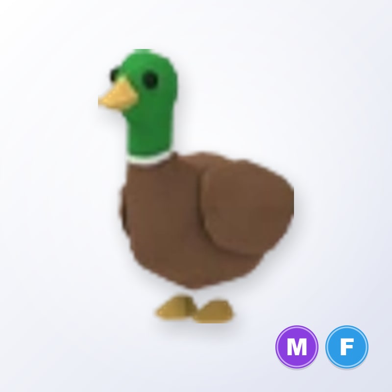 Drake MF | Adopt Me