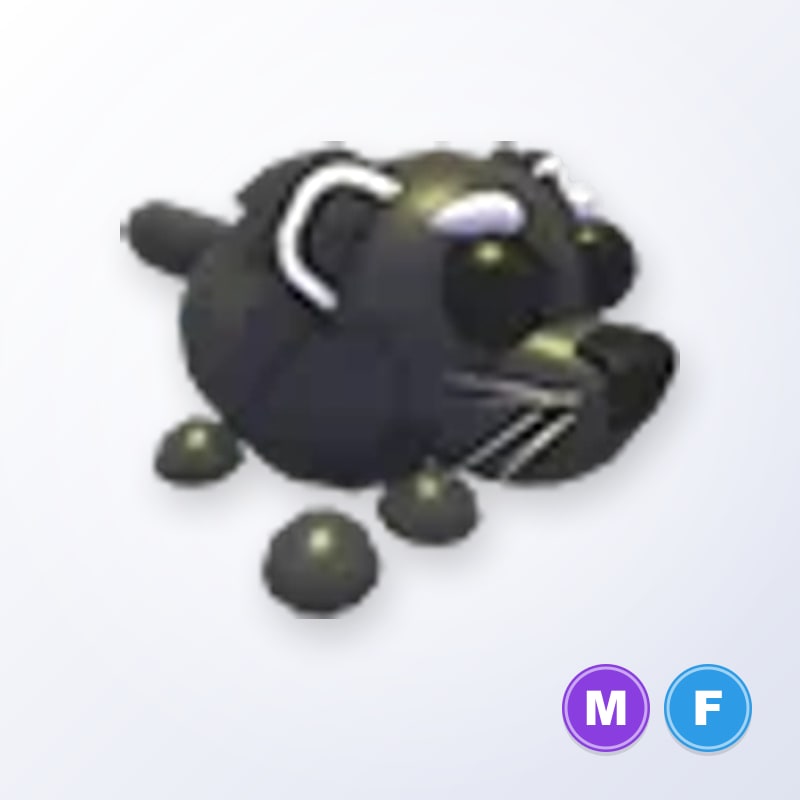 Binturong MF | Adopt Me