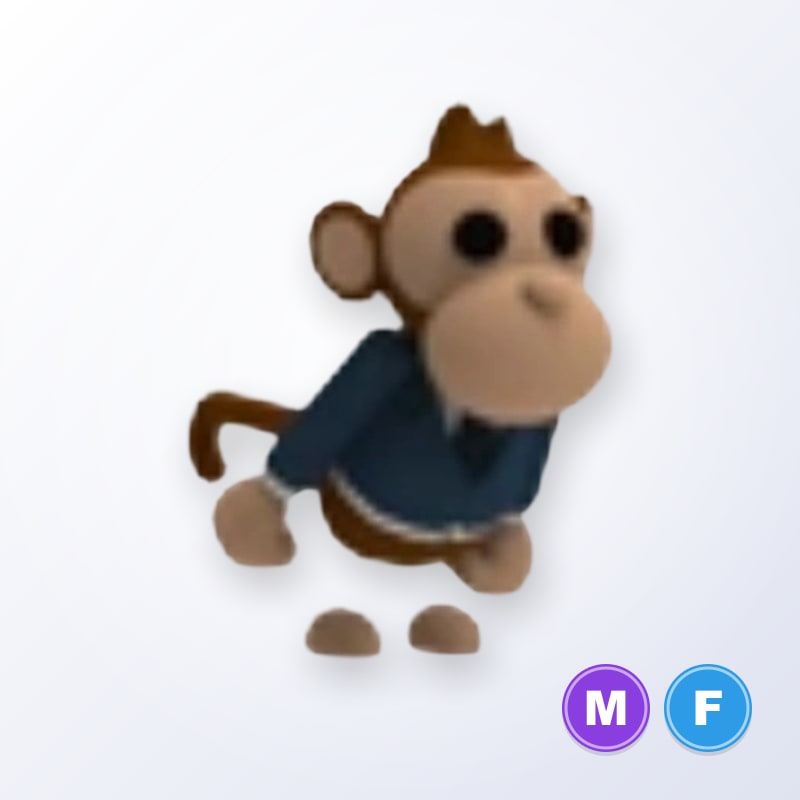 Business Monkey MF | Adopt Me