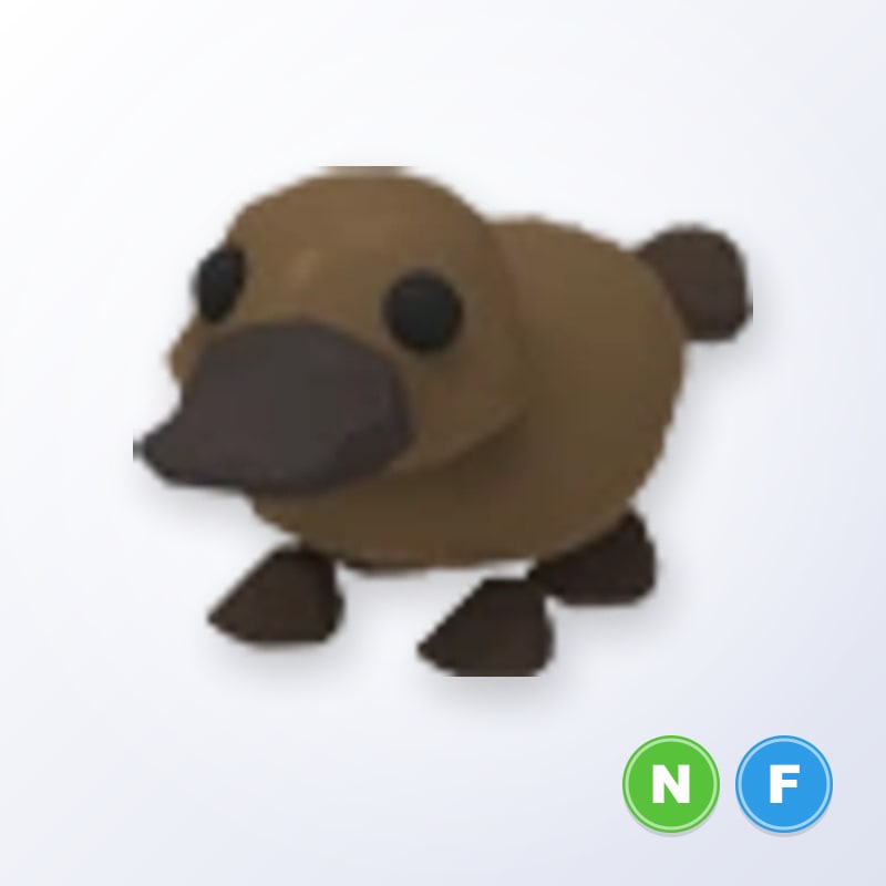 Platypus NF | Adopt Me