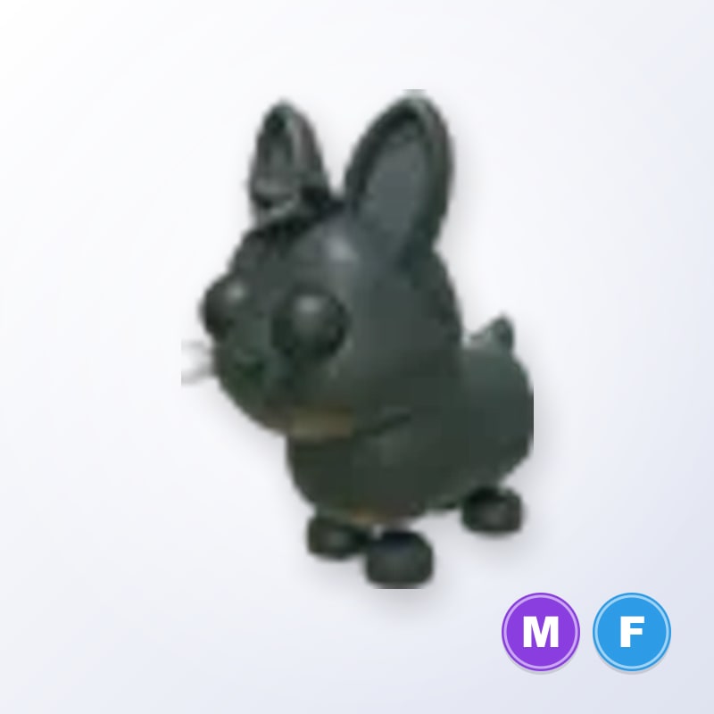 Amami Rabbit MF | Adopt Me
