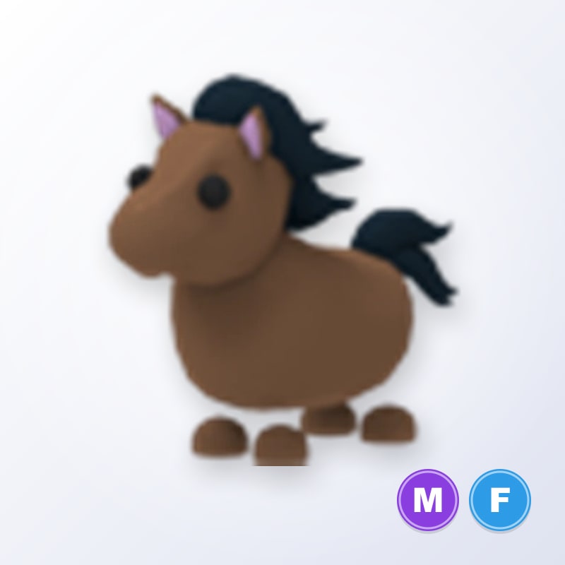 Horse MF | Adopt Me