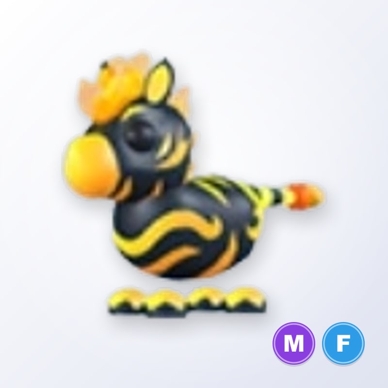 Flaming Zebra MF | Adopt Me