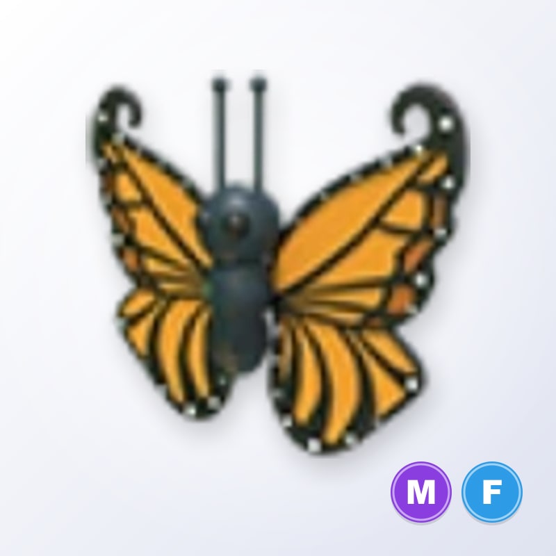 Orange Butterfly MF | Adopt Me