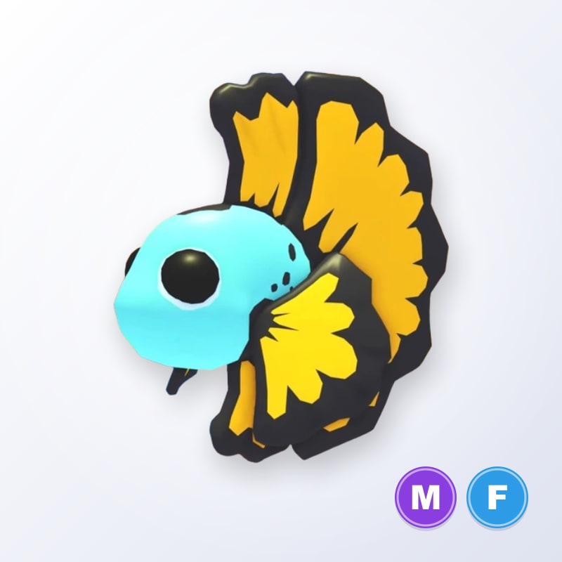 Blue Betta Fish MF | Adopt Me
