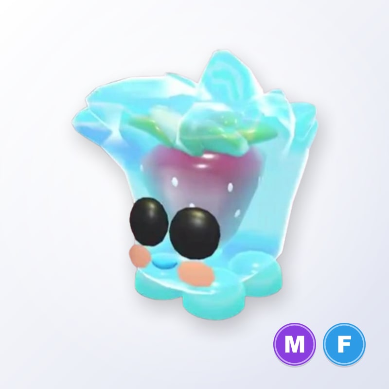 Berry Cool Cube MF | Adopt Me