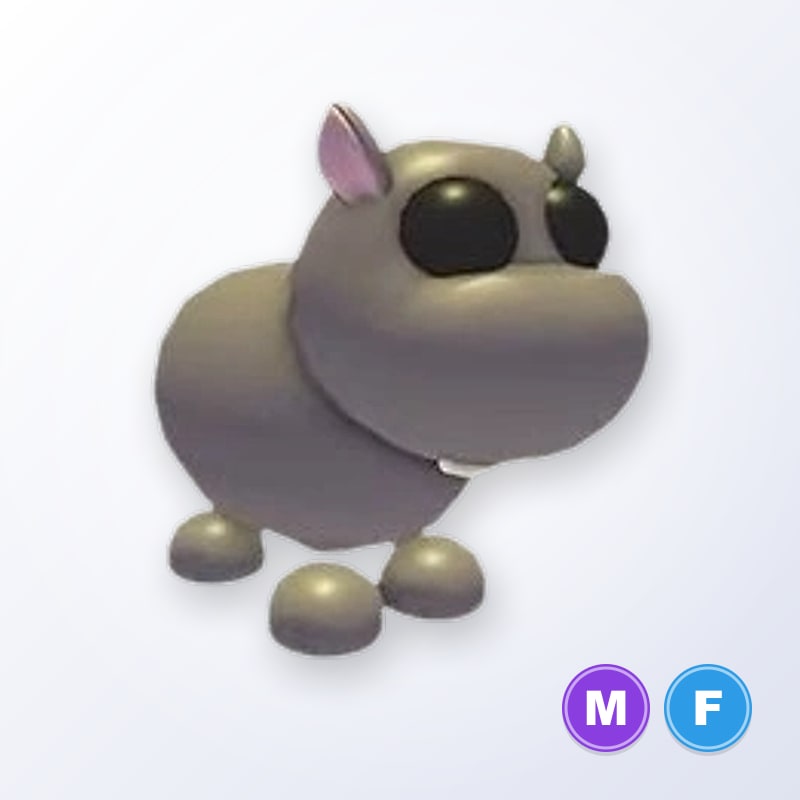 Hippo MF | Adopt Me