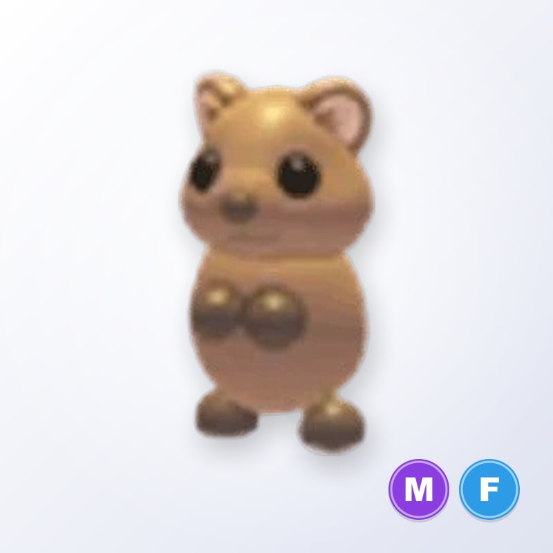 Quokka MF | Adopt Me