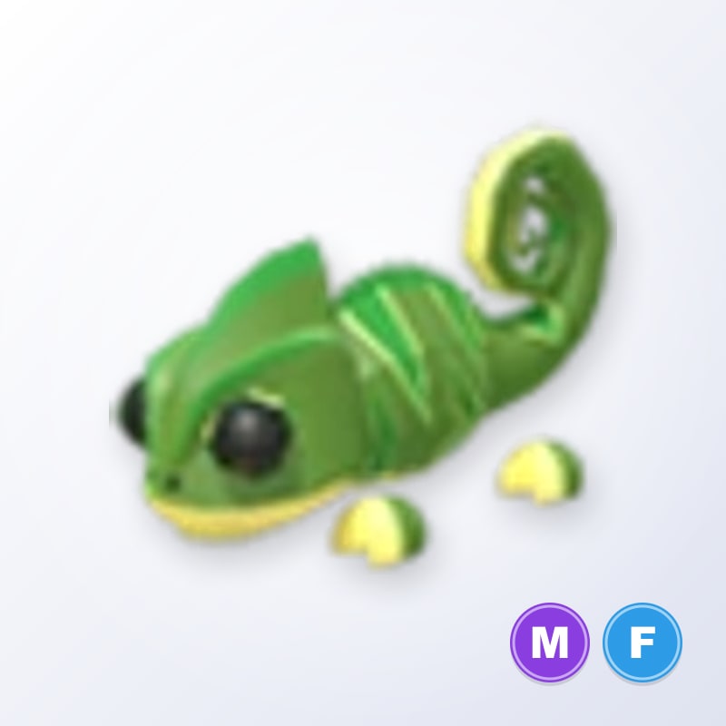 Chameleon MF | Adopt Me