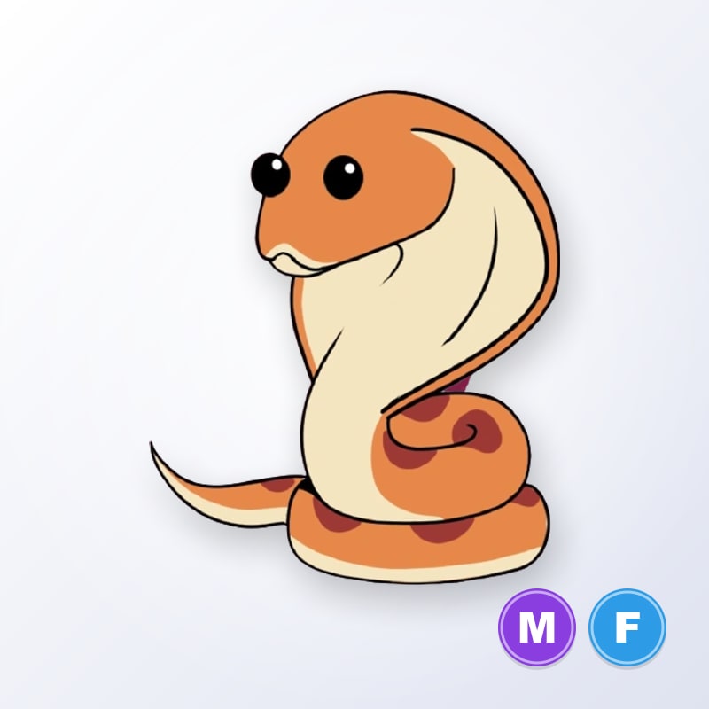 Cobra MF | Adopt Me