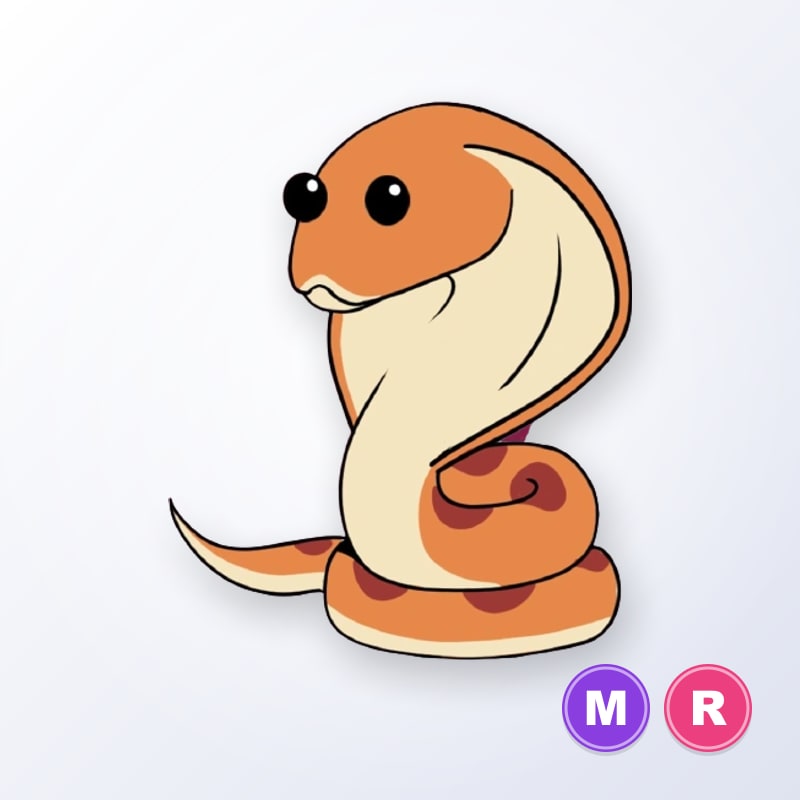 Cobra MR | Adopt Me