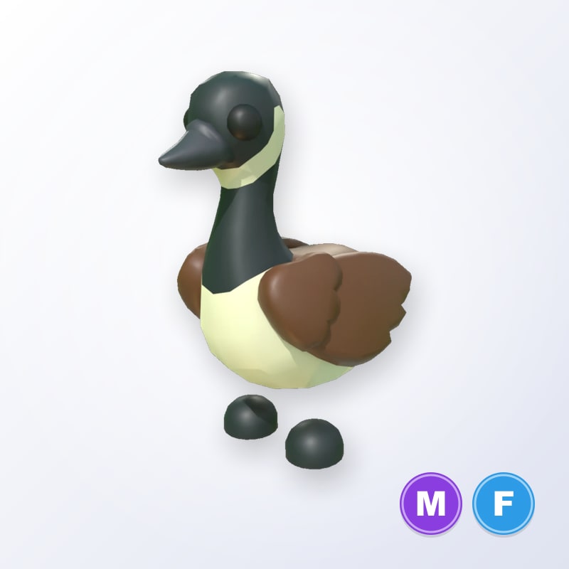 Canadian Goose MF | Adopt Me