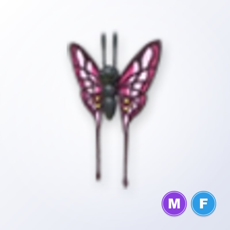 2022 Uplift Butterfly MF | Adopt Me