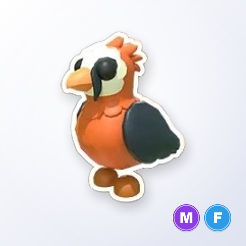 Lammergeier MF | Adopt Me