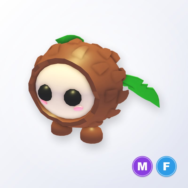 Coconut Friend MF | Adopt Me