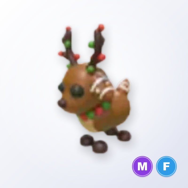 Gingerbread Reindeer MF | Adopt Me