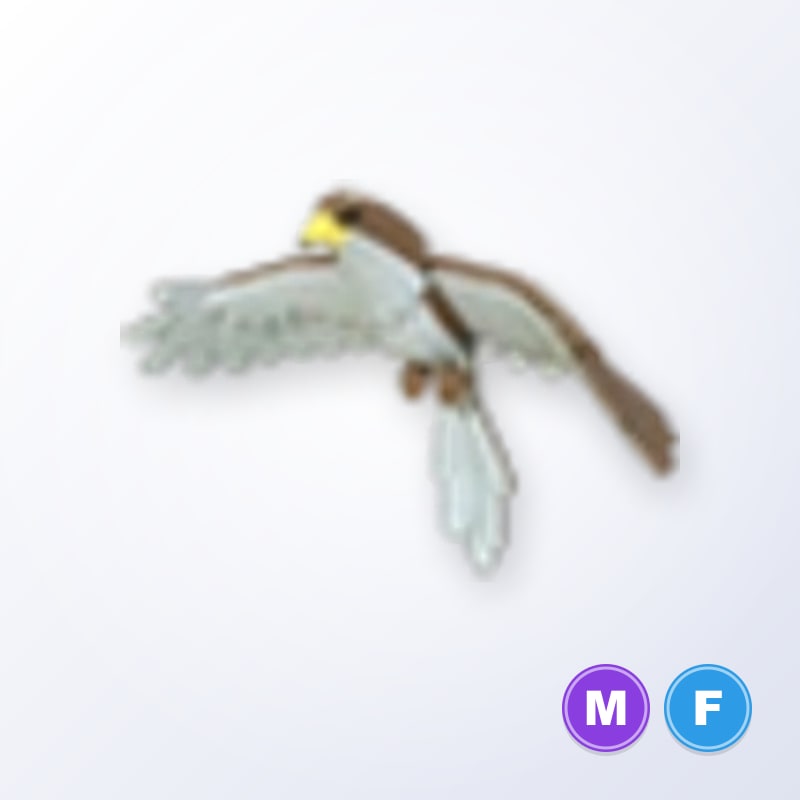 Hawk MF | Adopt Me
